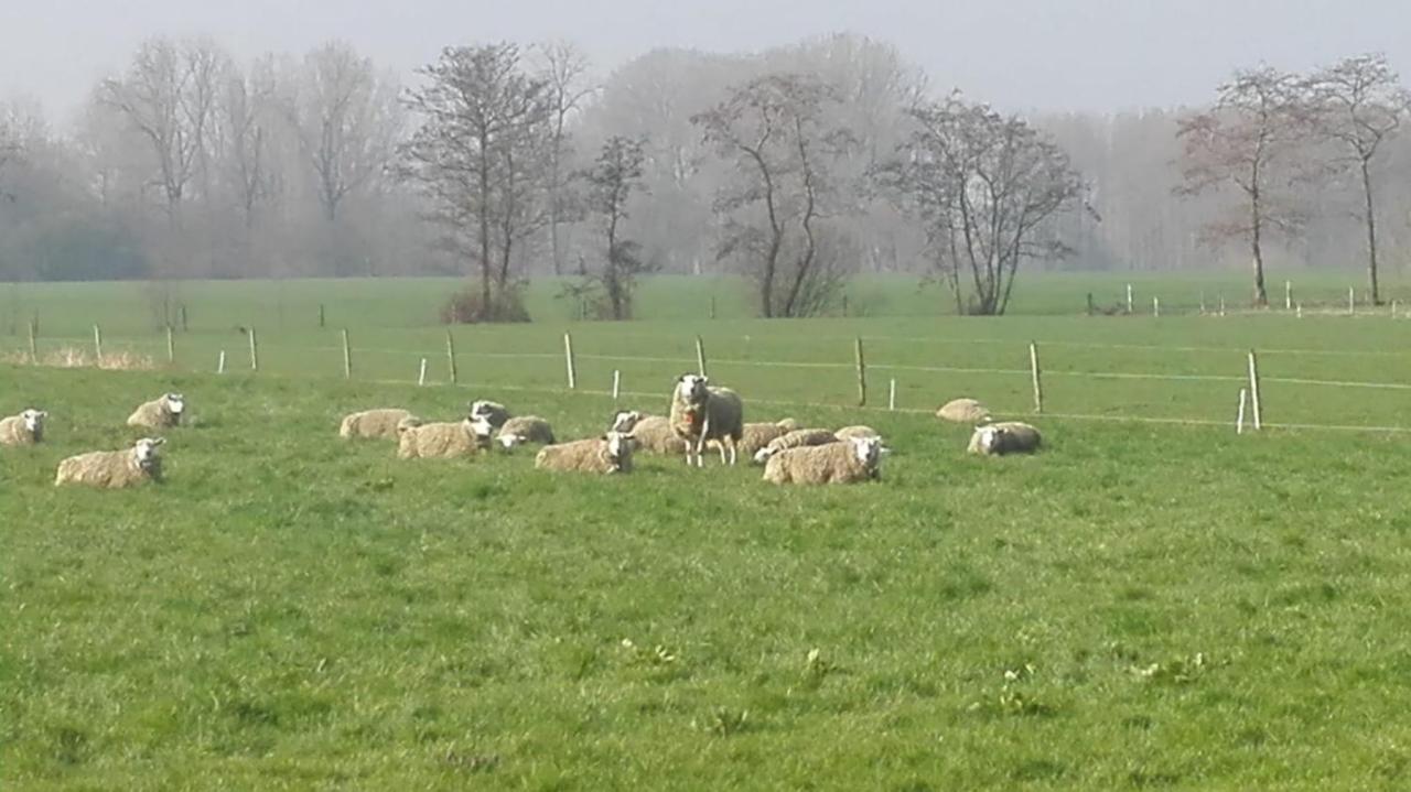 Sint-OedenrodeDe Weije Wereld住宿加早餐旅馆 外观 照片